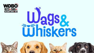 Wags & Whiskers
