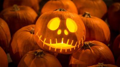 Spooky Season is here! Here’s things to do this weekend in Central Florida