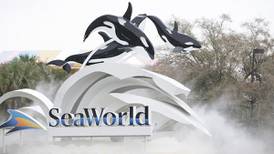 After furloughing 90% of employees, SeaWorld interim CEO provides update