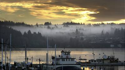 A river otter attacks a child at a Seattle-area marina