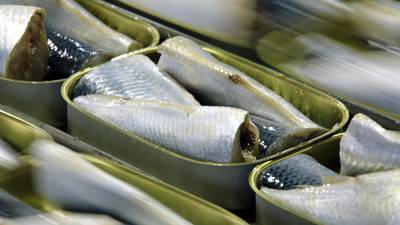 Before lobster, Maine had a thriving sardine industry. A sunken ship reminds us of its storied past