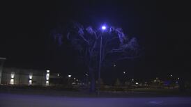 Why are some local street lights purple?