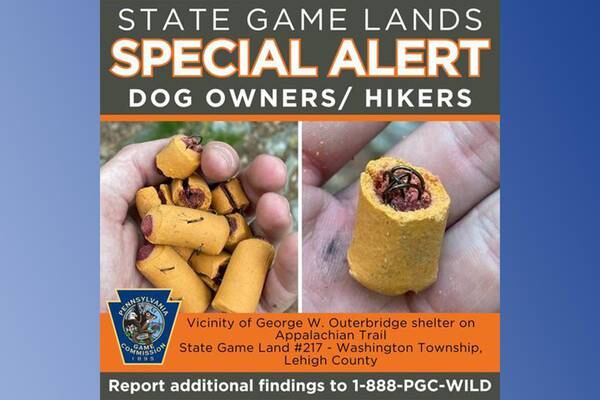 Fishhooks found in dog treats left on Appalachian Trail