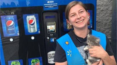 Kitten rescued from Walmart vending machine in Tennessee