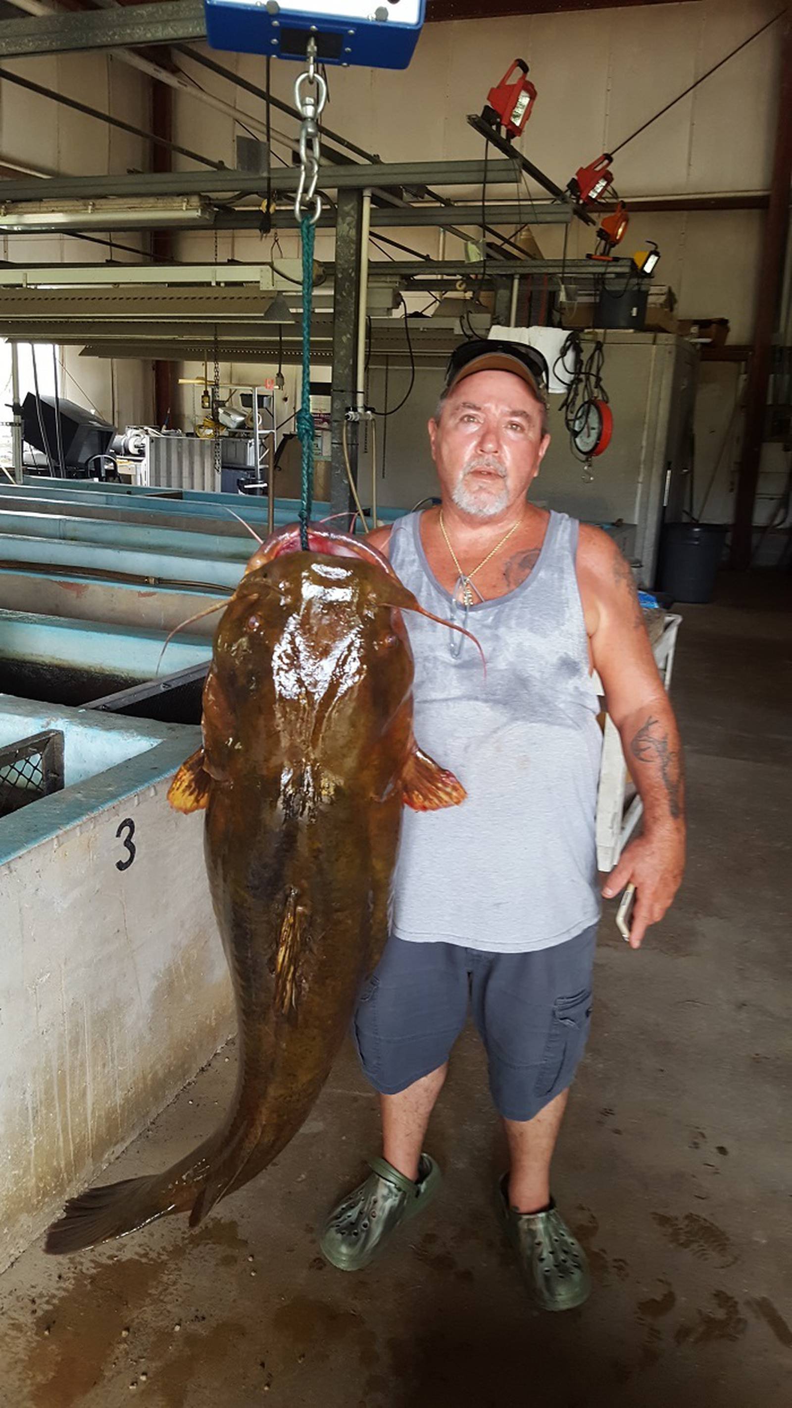 Recordbreaking catfish caught in Florida river WDBO