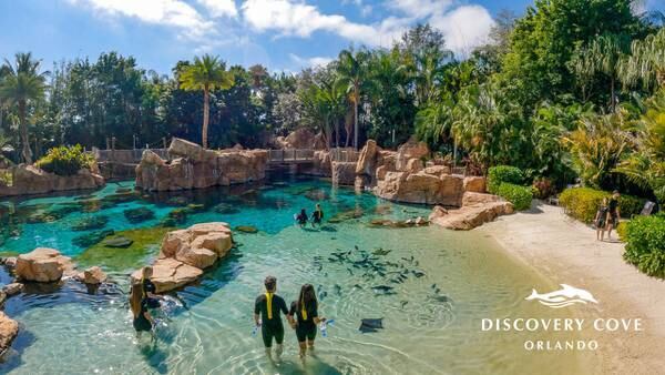 Win Tickets To Discovery Cove