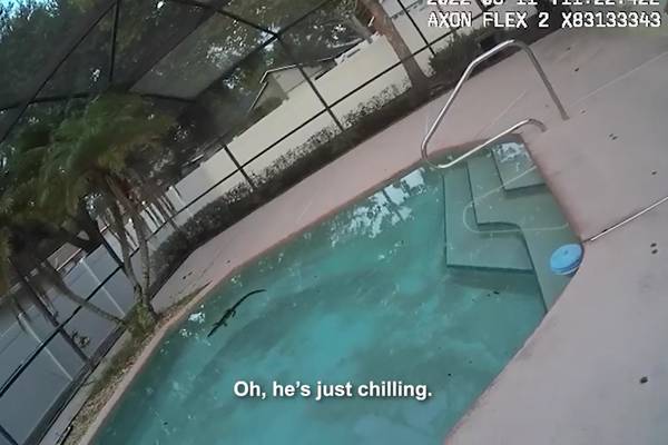 “He’s just chillin’ “: Deputies respond after woman reports alligator in swimming pool