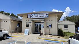 Contagious bacteria temporarily shuts down Orange County Animal Services