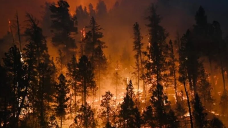 The FBI said it is offering a reward for information regarding some of the wildfires near Ruidoso, New Mexico.