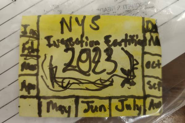 New York man arrested for crudely drawn inspection sticker on car