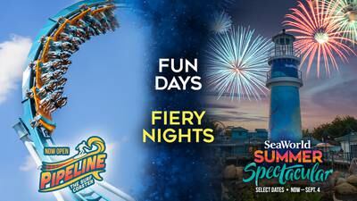Win Tickets To SeaWorld’s Summer Spectacular