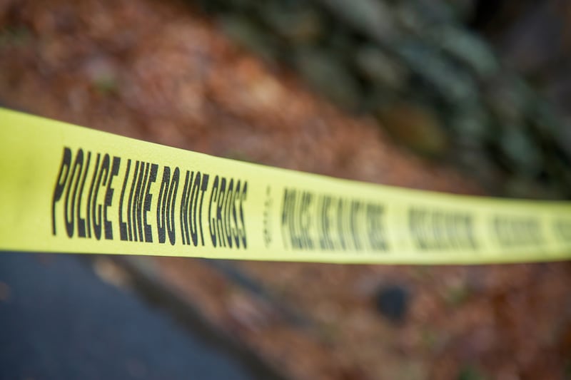 Must see: Florida man drives Jaguar into back of school bus