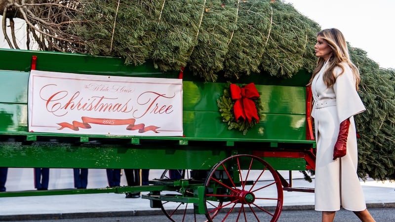 Melania Trump welcomes Christmas tree to the White House