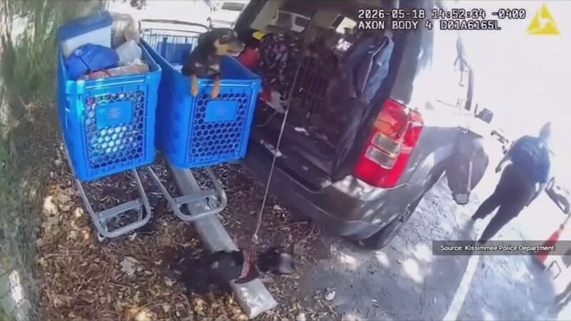 WATCH: Kissimmee police rescue 24 dogs from hot vehicle