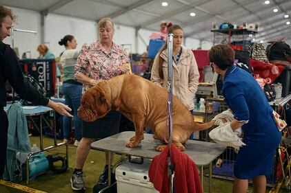 Westminster Kennel Club