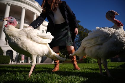 Turkey pardon