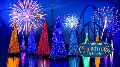 Win A Family 4-Pack Of Tickets To SeaWorld Orlando